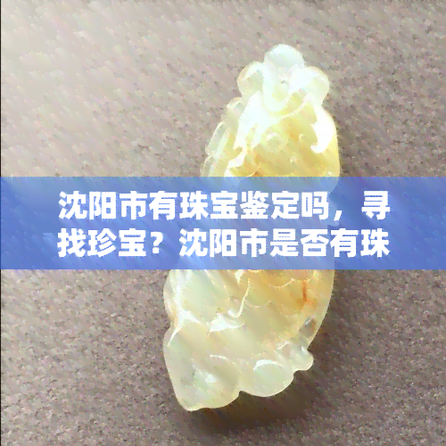 沈阳市有珠宝鉴定吗，寻找珍宝？沈阳市是否有珠宝鉴定？