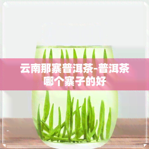 云南那寨普洱茶-普洱茶哪个寨子的好