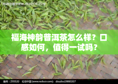 福海神韵普洱茶怎么样？口感如何，值得一试吗？