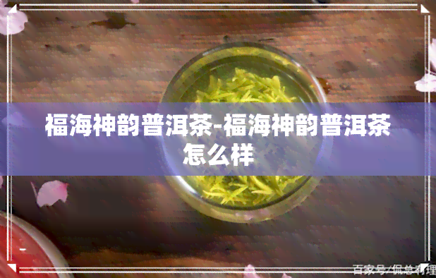 福海神韵普洱茶-福海神韵普洱茶怎么样