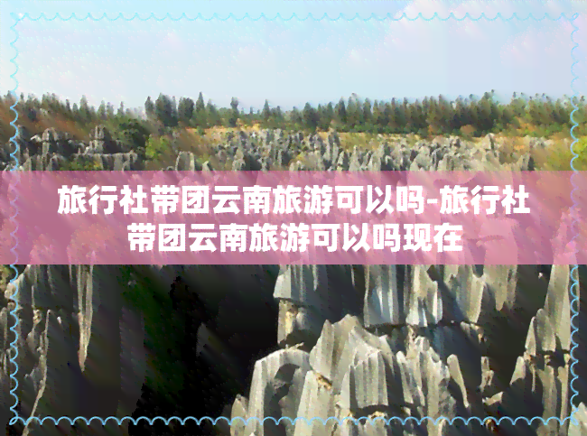 旅行社带团云南旅游可以吗-旅行社带团云南旅游可以吗现在