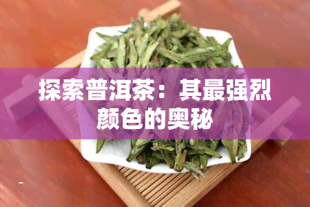 探索普洱茶：其最强烈颜色的奥秘