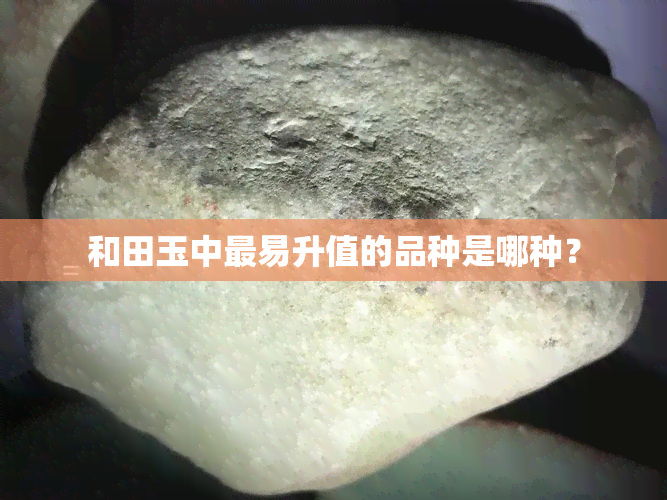 和田玉中最易升值的品种是哪种？