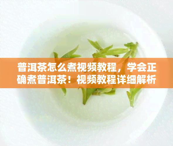 普洱茶怎么煮视频教程，学会正确煮普洱茶！视频教程详细解析