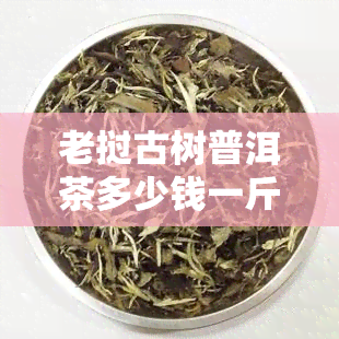 老挝古树普洱茶多少钱一斤，探寻古老韵味：老挝古树普洱茶的市场价格解析