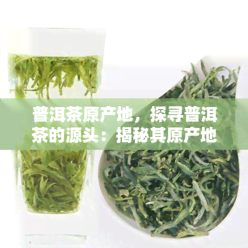 普洱茶原产地，探寻普洱茶的源头：揭秘其原产地之谜