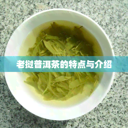 老挝普洱茶的特点与介绍