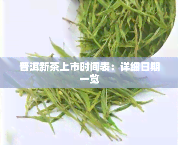 普洱新茶上市时间表：详细日期一览