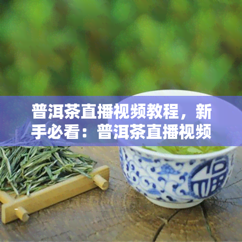 普洱茶直播视频教程，新手必看：普洱茶直播视频教程，从选茶到泡茶全解析！