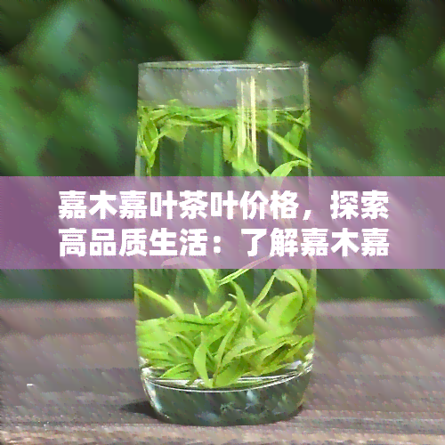 嘉木嘉叶茶叶价格，探索高品质生活：了解嘉木嘉叶茶叶的价格