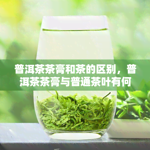 普洱茶茶膏和茶的区别，普洱茶茶膏与普通茶叶有何不同？探究两者的主要区别