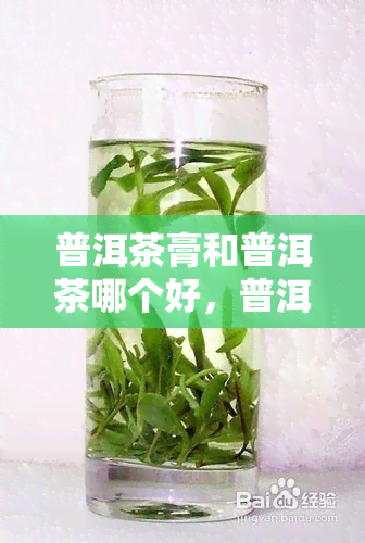 普洱茶膏和普洱茶哪个好，普洱茶膏 vs 普洱茶：哪个更优秀？