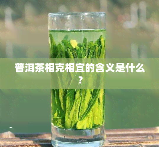 普洱茶相克相宜的含义是什么？