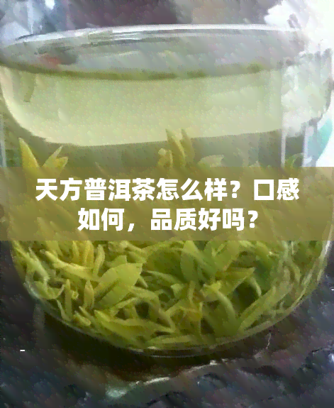 天方普洱茶怎么样？口感如何，品质好吗？