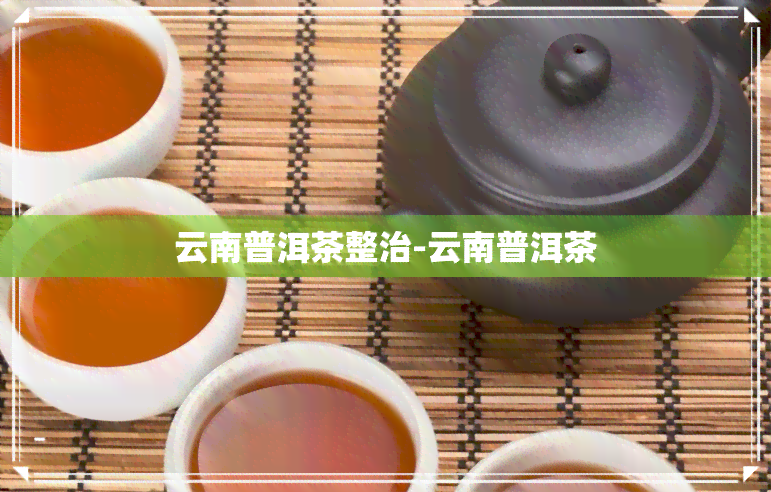 云南普洱茶整治-云南普洱茶