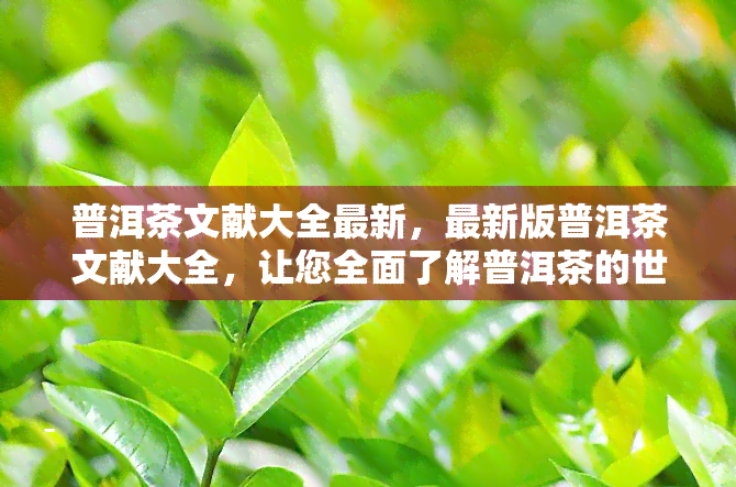 普洱茶文献大全最新，最新版普洱茶文献大全，让您全面了解普洱茶的世界