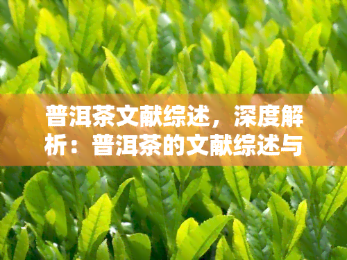 普洱茶文献综述，深度解析：普洱茶的文献综述与研究进展