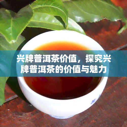 兴牌普洱茶价值，探究兴牌普洱茶的价值与魅力