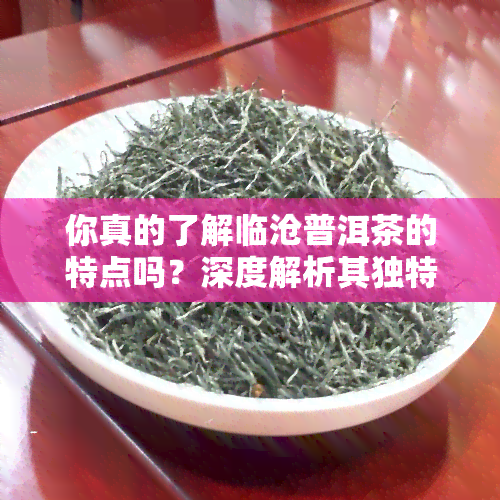 你真的了解临沧普洱茶的特点吗？深度解析其独特风味与制作工艺