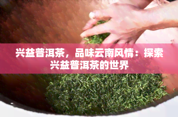 兴益普洱茶，品味云南风情：探索兴益普洱茶的世界