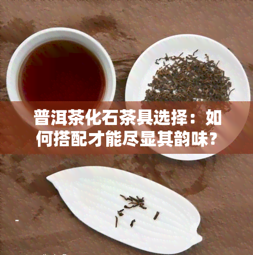 普洱茶化石茶具选择：如何搭配才能尽显其韵味？