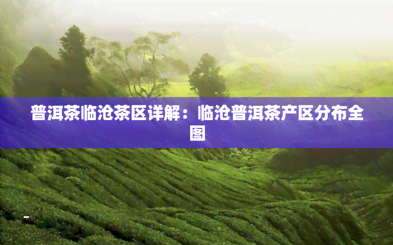 普洱茶临沧茶区详解：临沧普洱茶产区分布全图