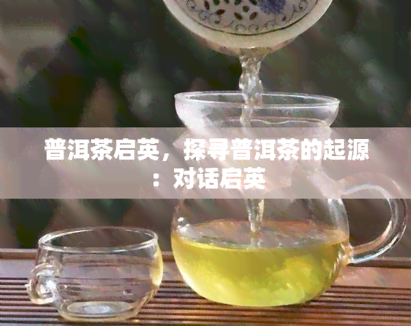 普洱茶启英，探寻普洱茶的起源：对话启英