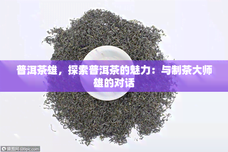 普洱茶雄，探索普洱茶的魅力：与制茶大师雄的对话