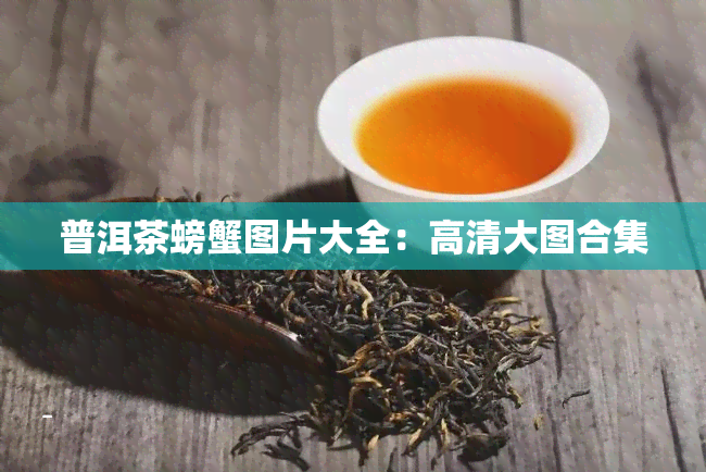 普洱茶螃蟹图片大全：高清大图合集