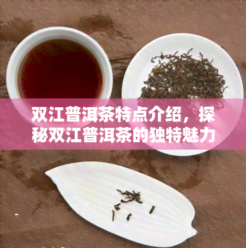 双江普洱茶特点介绍，探秘双江普洱茶的独特魅力与特点