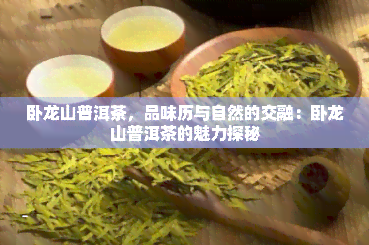 卧龙山普洱茶，品味历与自然的交融：卧龙山普洱茶的魅力探秘