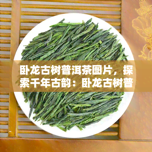 卧龙古树普洱茶图片，探索千年古韵：卧龙古树普洱茶的独特魅力