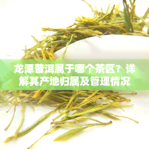 龙潭普洱属于哪个茶区？详解其产地归属及管理情况