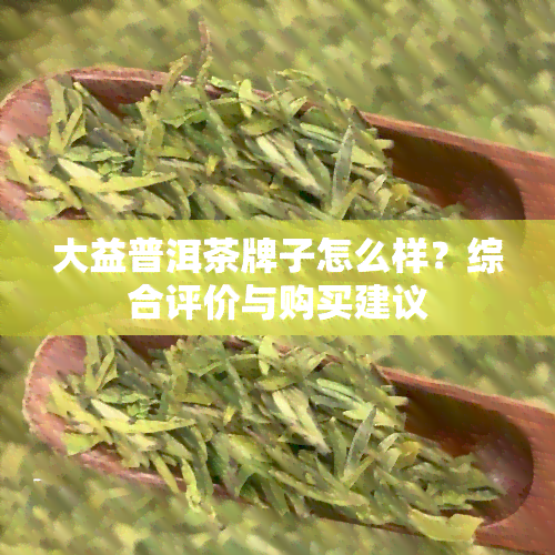 大益普洱茶牌子怎么样？综合评价与购买建议