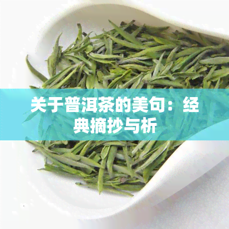 关于普洱茶的美句：经典摘抄与析