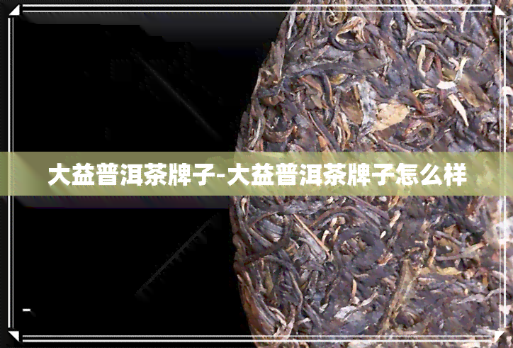 大益普洱茶牌子-大益普洱茶牌子怎么样