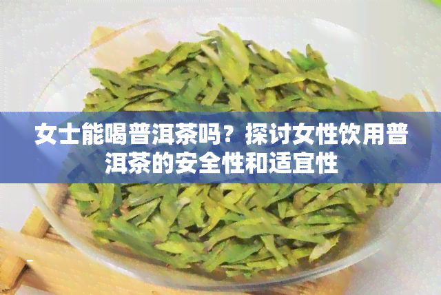 女士能喝普洱茶吗？探讨女性饮用普洱茶的安全性和适宜性