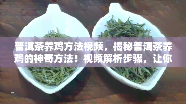 普洱茶养鸡方法视频，揭秘普洱茶养鸡的神奇方法！视频解析步骤，让你的鸡蛋更营养！