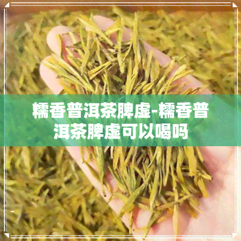 糯香普洱茶脾虚-糯香普洱茶脾虚可以喝吗