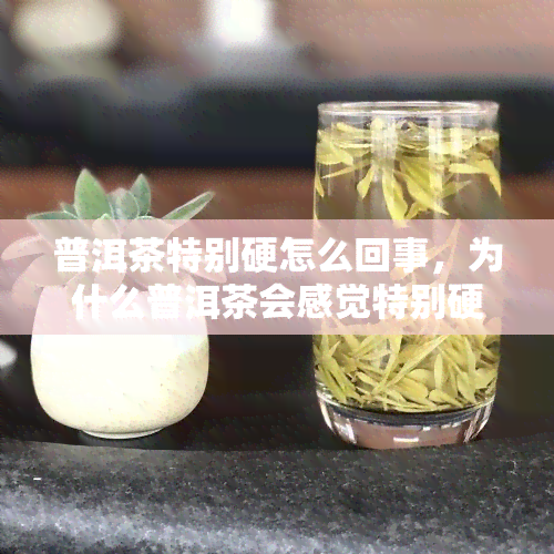 普洱茶特别硬怎么回事，为什么普洱茶会感觉特别硬？原因解析