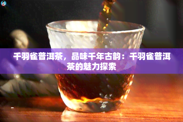 千羽雀普洱茶，品味千年古韵：千羽雀普洱茶的魅力探索