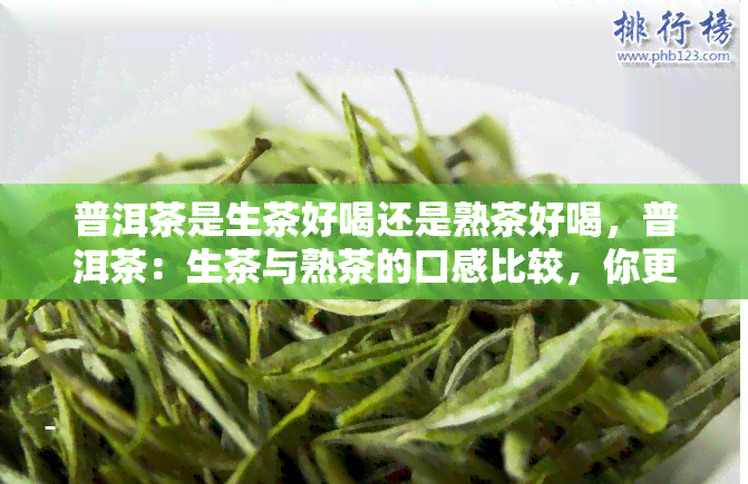 普洱茶是生茶好喝还是熟茶好喝，普洱茶：生茶与熟茶的口感比较，你更喜欢哪一种？