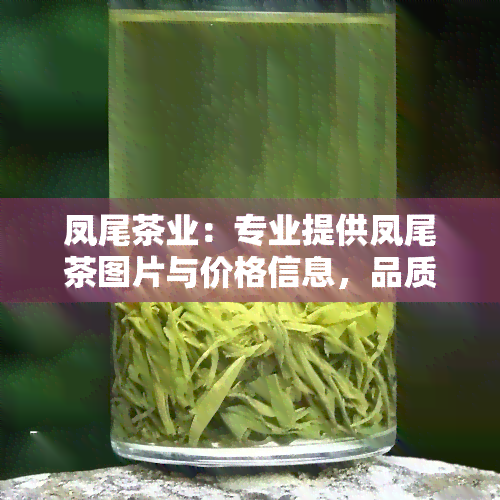 凤尾茶业：专业提供凤尾茶图片与价格信息，品质保证，欢迎选购！