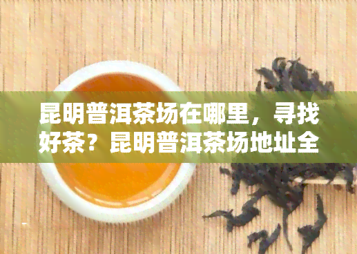 昆明普洱茶场在哪里，寻找好茶？昆明普洱茶场地址全攻略！