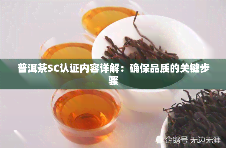 普洱茶SC认证内容详解：确保品质的关键步骤