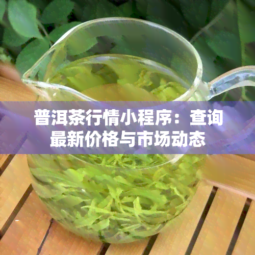 普洱茶行情小程序：查询最新价格与市场动态