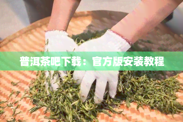 普洱茶吧下载：官方版安装教程