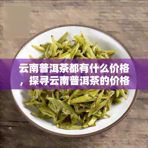 云南普洱茶都有什么价格，探寻云南普洱茶的价格区间，从入门级到高端品质一网打尽！