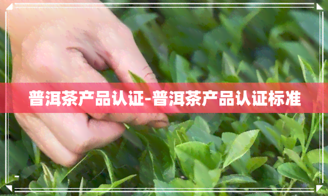 普洱茶产品认证-普洱茶产品认证标准