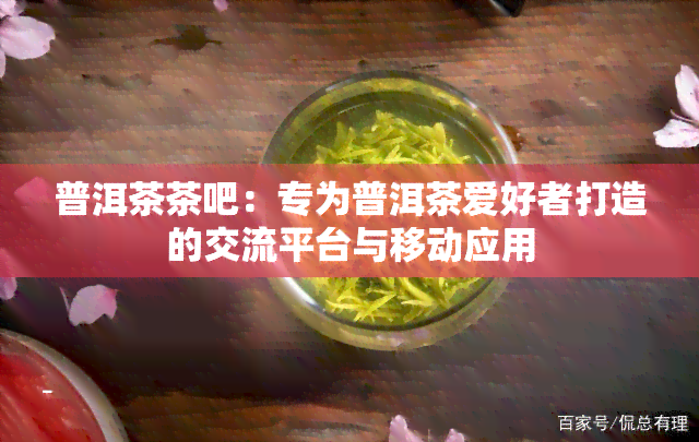 普洱茶茶吧：专为普洱茶爱好者打造的交流平台与移动应用